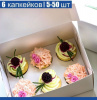 Коробка для 6 капкейков 24*17*10 cм