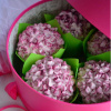 Кондитерская насадка 135 Tulip звезда закрытый центр Кондитерская насадка 135 Tulip звезда закрытый центр
